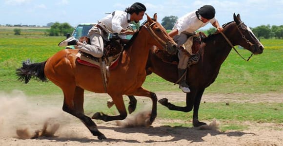 From Buenos Aires: Tour to Estancia Don Silvano with Lunch