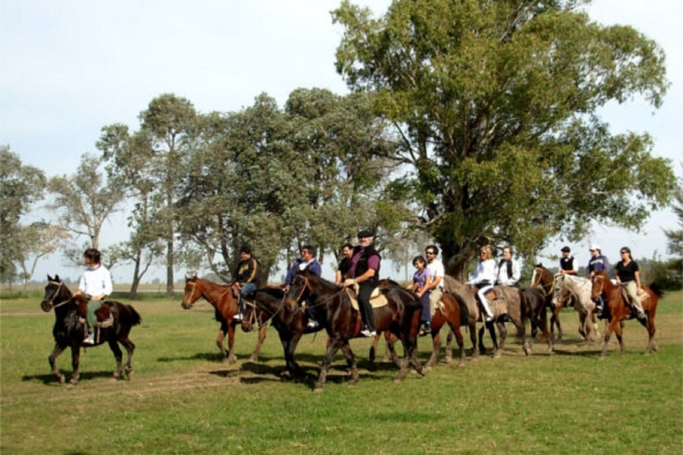 From Buenos Aires: Estancia Don Silvano Tour with Lunch. From Palermo: Estancia Don Silvano Tour with Meal & Snacks