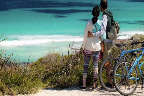 Von Perth aus: Quokkas Delight TourQuokkas Delight Rottnest Island Tour mit Fahrradverleih