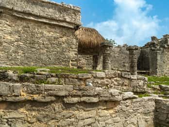 Tulum: Escursione di un giorno alle rovine, al cenote e allo snorkeling delle tartarughe con pranzo
