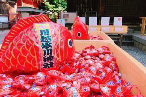 From Tokyo: Round-Trip Fare to Kawagoe City