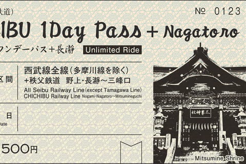 From Tokyo: Seibu Railway 1 Day Pass and Nagatoro