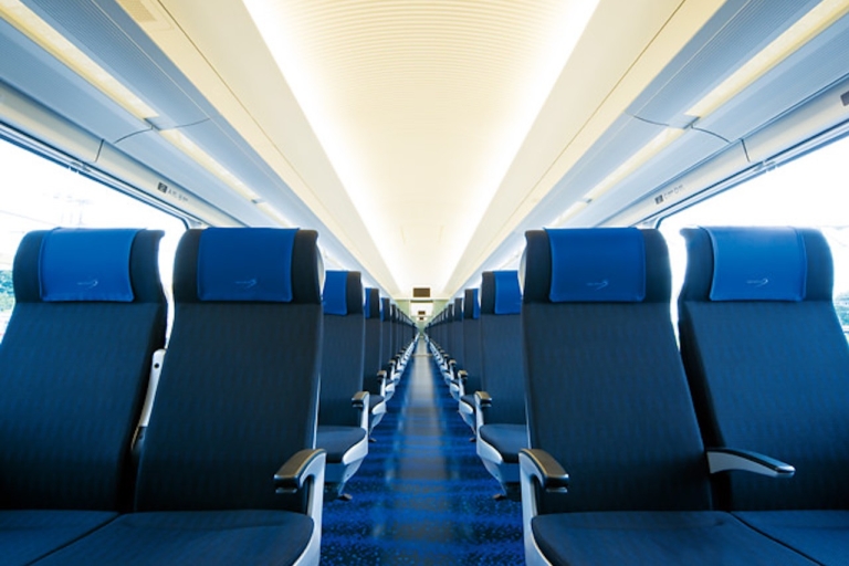 Tokio: One-Way Skyliner Zugticket zum/vom Flughafen NaritaVom Bahnhof Ueno oder Nippori zum Flughafen Narita