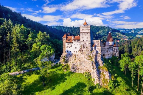 From Bucharest: Peles, Bran Castle & Brasov Day Tour