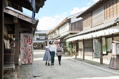 Kyoto: Toei Kyoto Studio Park Eintrittskarte