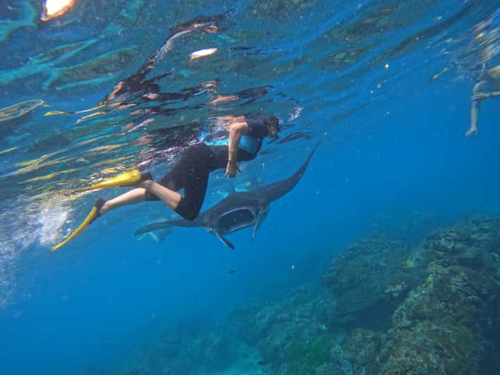 From Nusa Penida Spots Snorkeling Tour With Manta Rays GetYourGuide