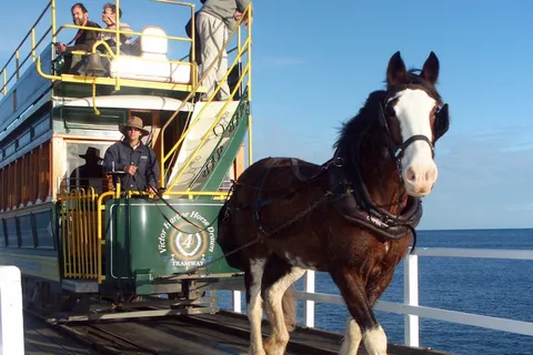 From Adelaide: Victor Harbor & Hahndorf Day Tour