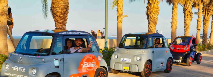 Prise en charge au terminal de croisière : Malaga en 2 heures en voiture électrique