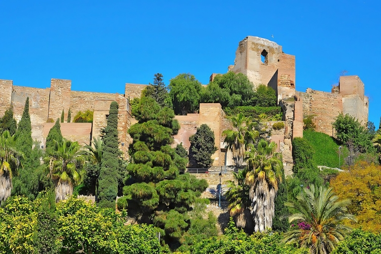 Malaga: Private 4-Hour Sightseeing Walking Tour