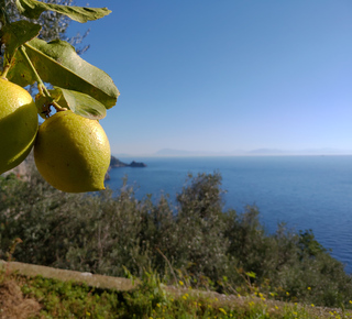 Experiências Gastronómicas em Praiano