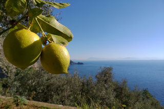 Esperienze Gastronomiche