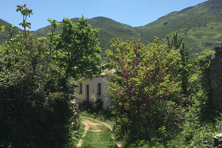 Corfu: Verken meer in Corfu Noord RouteOntdek meer op de Corfu Noord-route