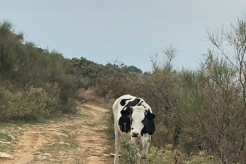 Corfu: Verken meer in Corfu Noord RouteOntdek meer op de Corfu Noord-route