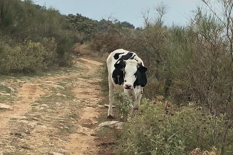 Corfu: Verken meer in Corfu Noord RouteOntdek meer op de Corfu Noord-route