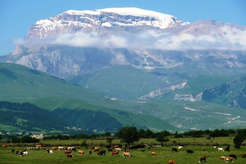 Azerbaiyán: Estancia con lugareños, 2 días Naturaleza- Gabala ,ShekiOpción Estándar