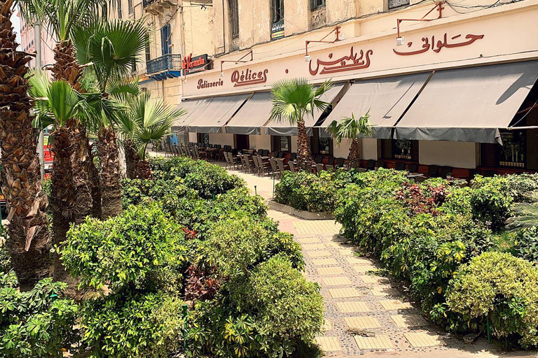 Alexandria: Greek History Guided City Tour