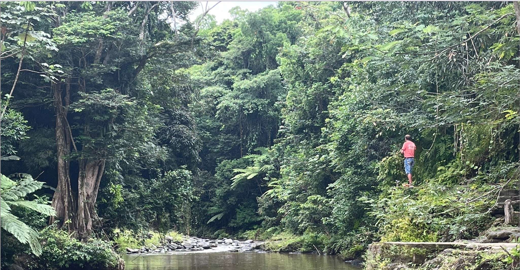 Von San Juan, Puerto Rico in einem Tag private Tour - Hizvo