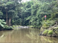 Desde San Juan, Puerto Rico en un tour privado de un día - Hizvo