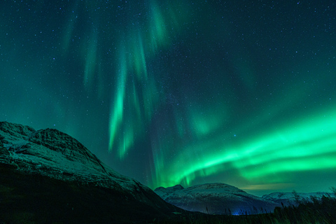 De Tromsø: Perseguição de ônibus guiada pela aurora borealDe Tromsø: Tour Guiado de Ônibus em Busca da Aurora Boreal