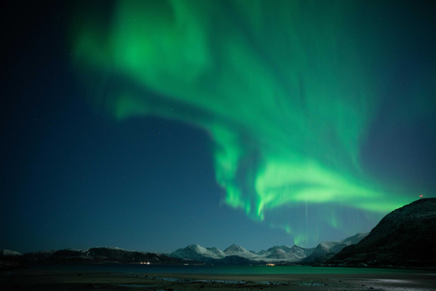 De Tromsø: Perseguição de ônibus guiada pela aurora borealDe Tromsø: Tour Guiado de Ônibus em Busca da Aurora Boreal