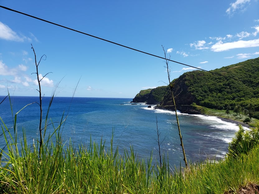 Maui : Road to Hana Tour w/ Pickup near Cruise Port