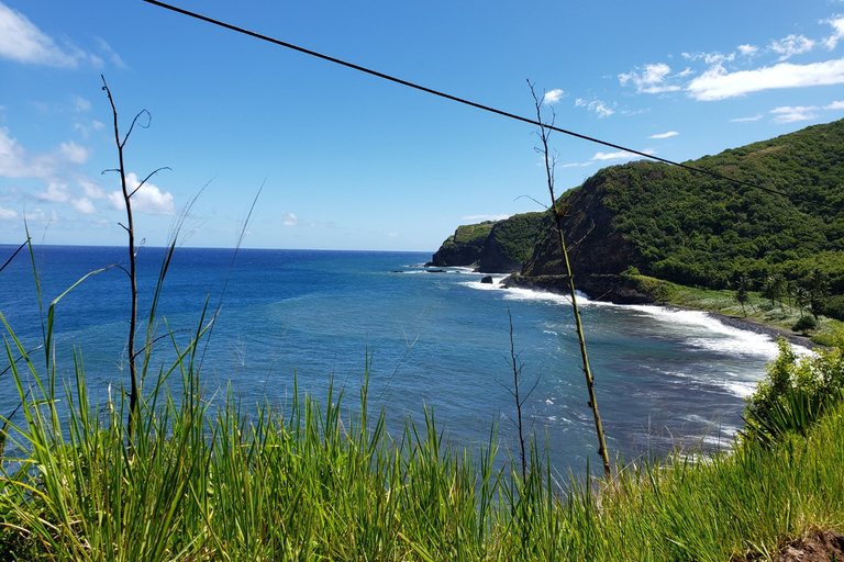 Maui : Road to Hana Tour w/ Pickup near Cruise Port From Lahaina