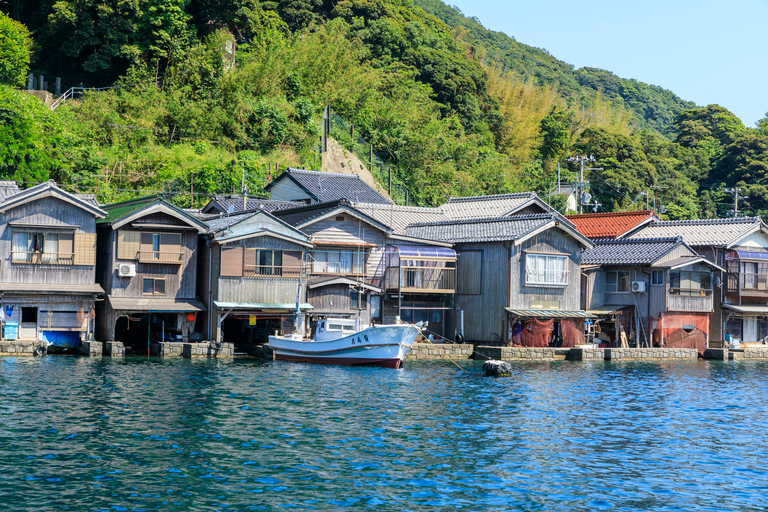 Van Osaka: dagtocht naar Amanohashidate en Scenic Ine Bay