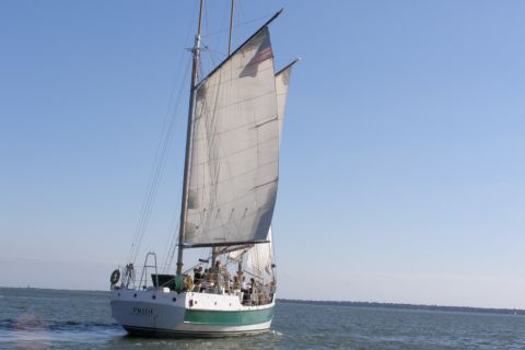 Charleston: Schooner Sailing Harbor Tour & Dolphin Watch