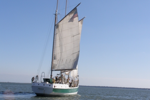 Daytime Dolphin Sail aboard Schooner Pride Standard Option
