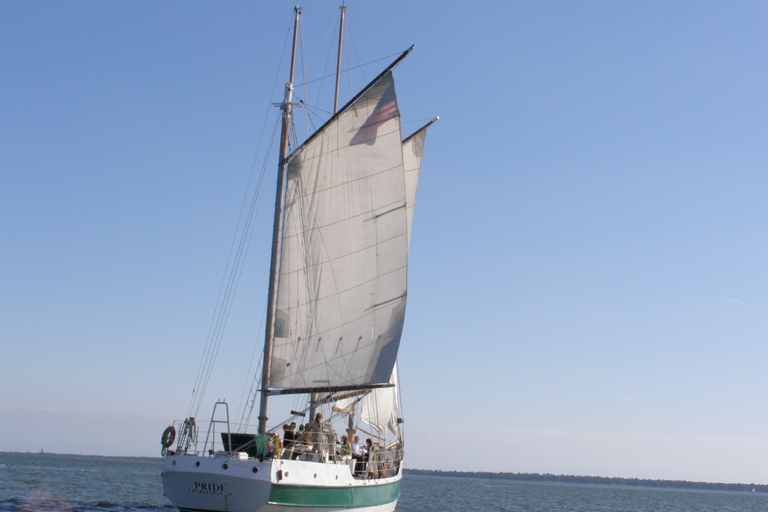 Delfinsegeln an Bord des Schooner PrideStandard Option