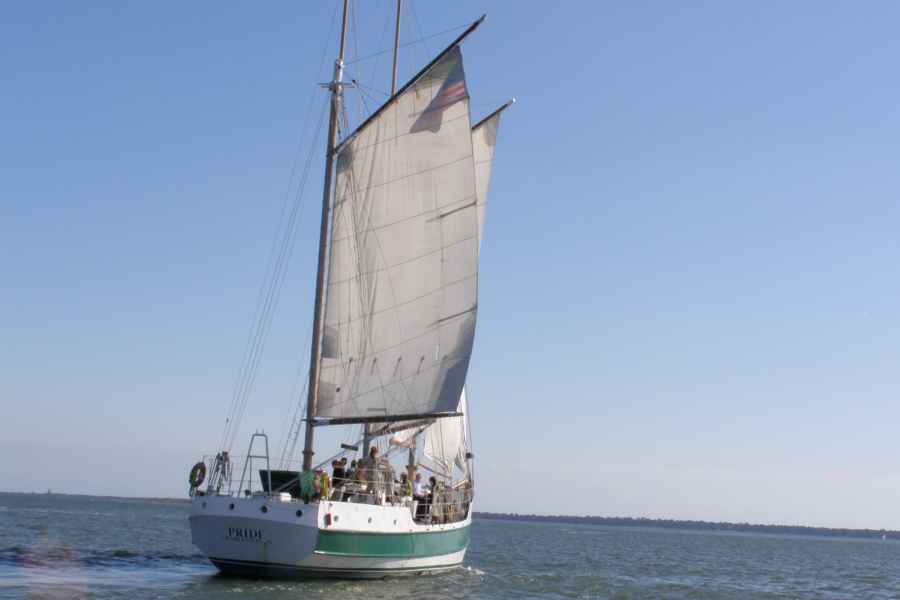 Charleston: Schooner Segeln Hafenrundfahrt & Delphinbeobachtung. Foto: GetYourGuide