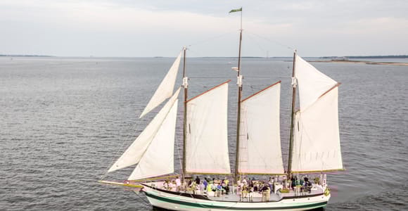 Charleston: Schooner Segeln Hafenrundfahrt & Delphinbeobachtung