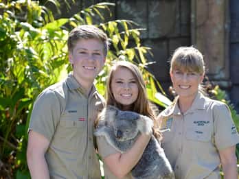 Från Sunshine Coast: Australien Zoo Entry Ticket och Transfer
