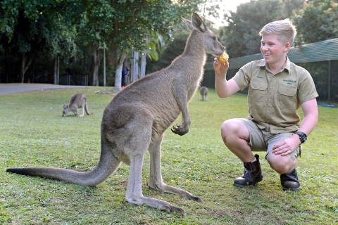 Australia Zoo Transfer en binnenkomst Sunshine Coast
