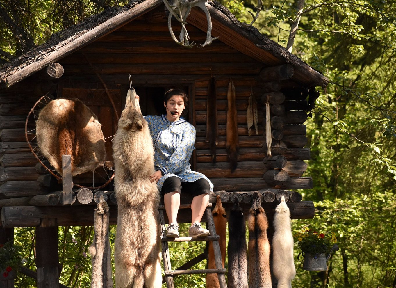 Fairbanks: Riverboat Cruise og lokal bytur