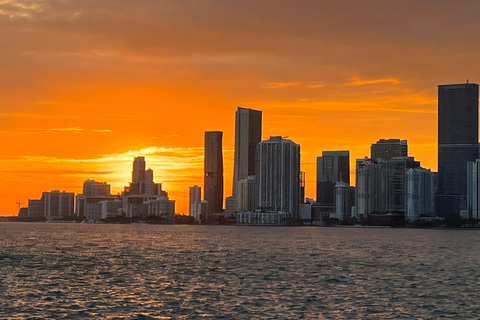 Miami: Skyline Cruise van de Magic City & Millionaire Houses