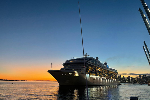 Miami : Croisière Skyline de la ville magique et maisons de millionnaires