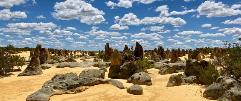 Perth: tour guidato Pinnacles Desert Bush Walk con pranzo