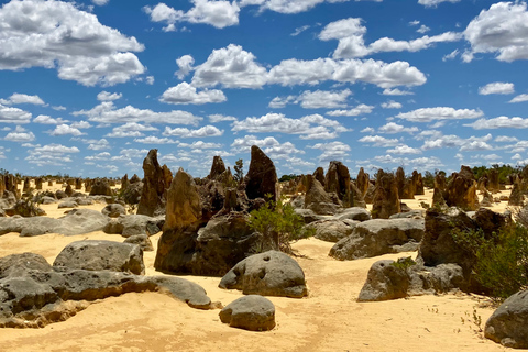 Perth: Pinnacles Desert Bush Walk guidad tur med lunchGuidad tur på engelska