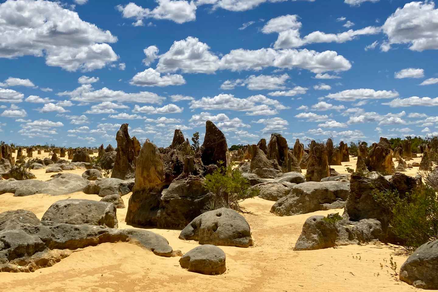 Perth: Pinnacles & Sand Dunes Adventure Tour - Guided tour in English
