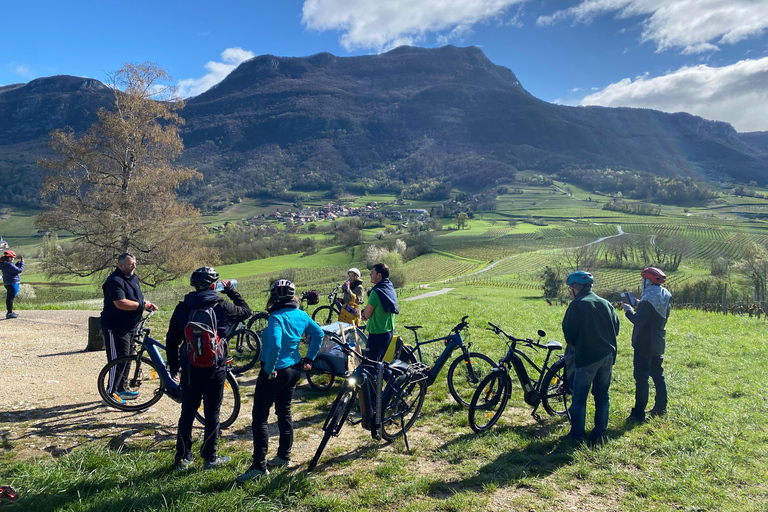Uthyrning av elcyklar, tur runt Bourget-sjönUthyrning av elcykel, rundtur i Lac du Bourget