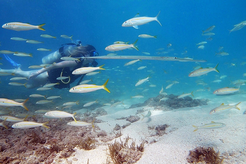 San Juan: Tour subacqueo per principianti con tartarughe e video