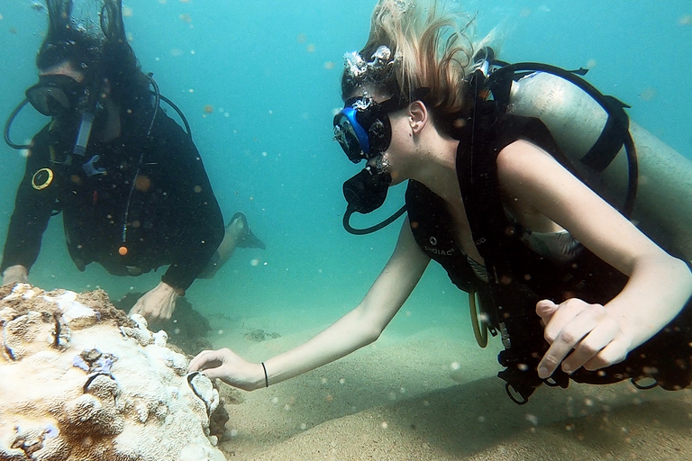 San Juan : Cours de plongée sous-marine pour débutants avec des tortues