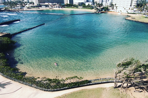 San Juan : Cours de plongée sous-marine pour débutants avec des tortues