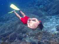 От Лембонгана, Nusa Penida Day Day Day Trip - Housity