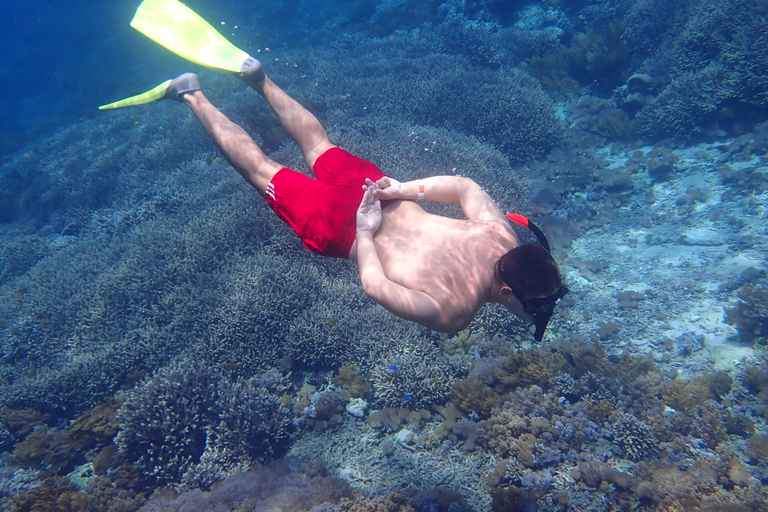 From Lembongan: 3 Snorkeling Spot Day Trip to Penida Tour with Lembongan transfers, Lunch and Mangrove Tour