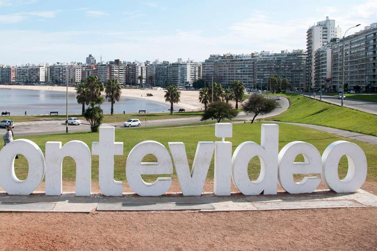 Montevideo for Cruise Passengers: Half-Day Tour of the Top Attractions Montevideo Express for Cruise Passengers: Culture and Local Experiences