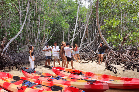 Da Bali: Tour in buggy di Lembongan e delle Lacrime del Diavolo con pranzoDal porto di Sanur senza ritiro