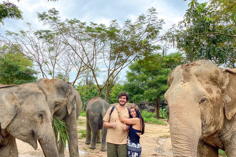 Koh Samui: Elephant Kingdom Sanctuary Half-Day Tour