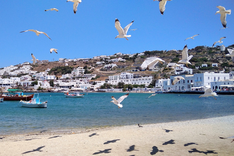 Mykonos: tour dei momenti salienti con il monastero di Panagia Tourliani